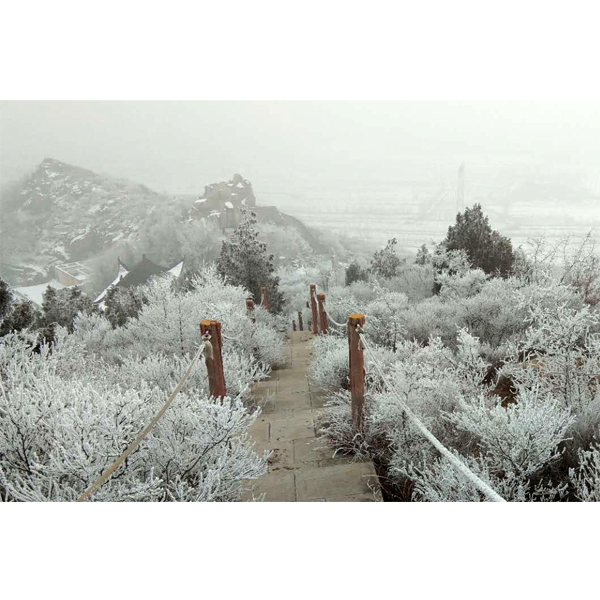 陵园雪景