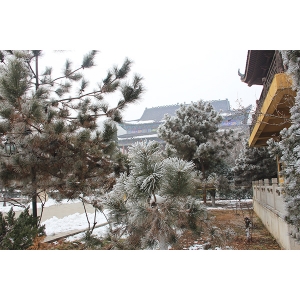 陵园雪景